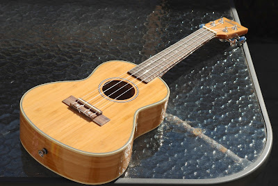 Moselele Bambookulele concert ukulele