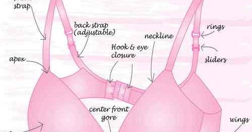 Textile Era: Different Parts of a Bra/Brassiere