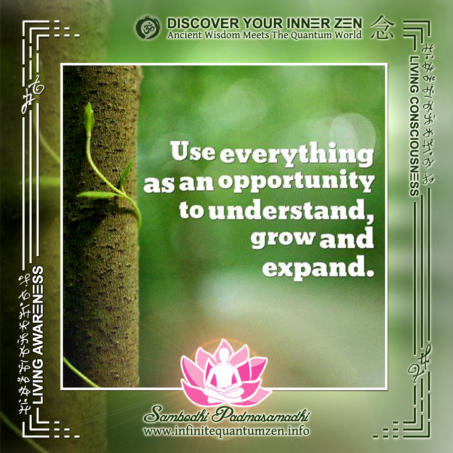 Use everything as an opportunity to understand, grow and expand - Infinite Quantum Zen, Success Life Quotes