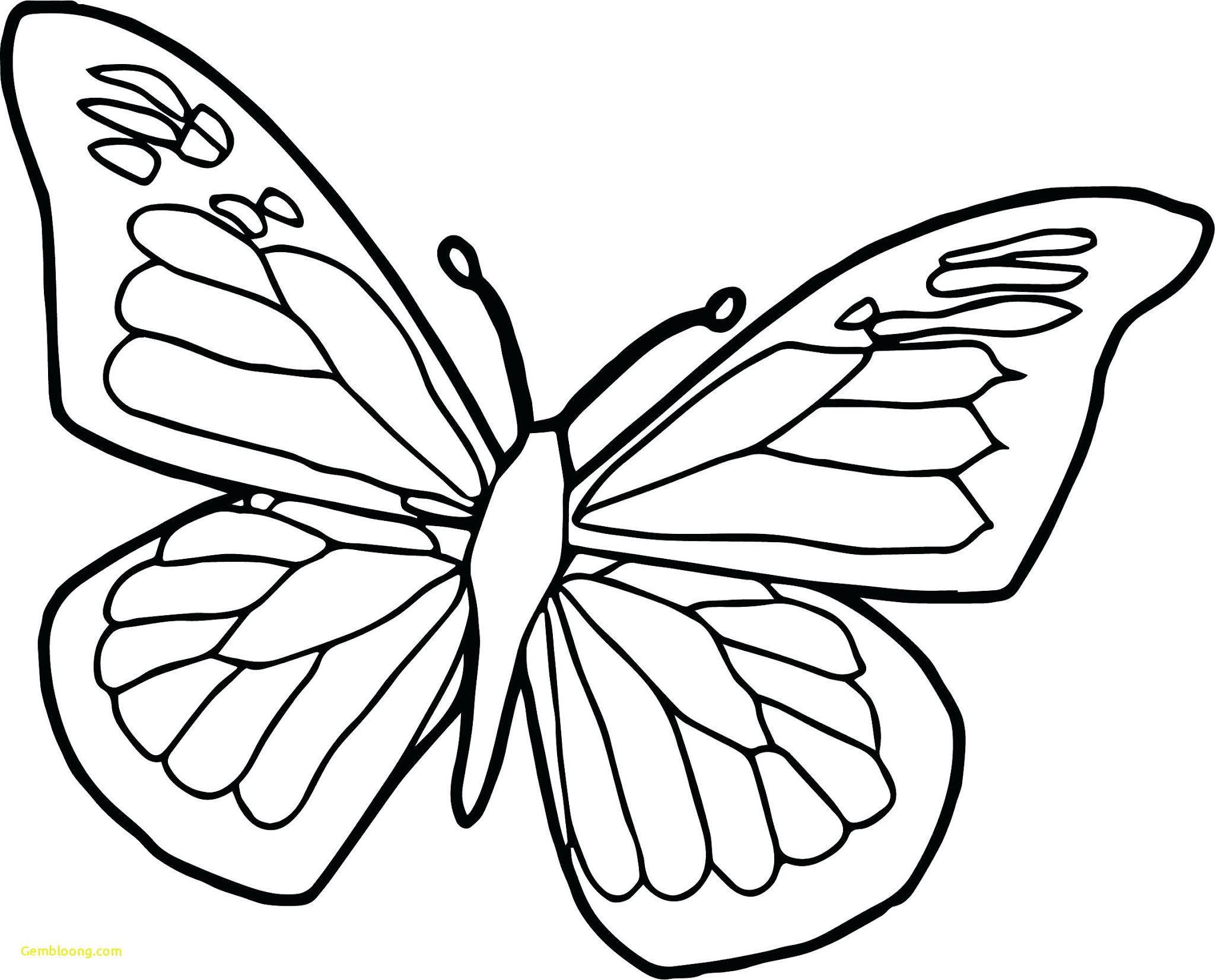 Butterfly Coloring Pages For Adults