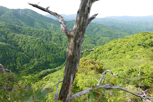 鳥取県西伯郡南部町八金 金華山登山道からの眺望