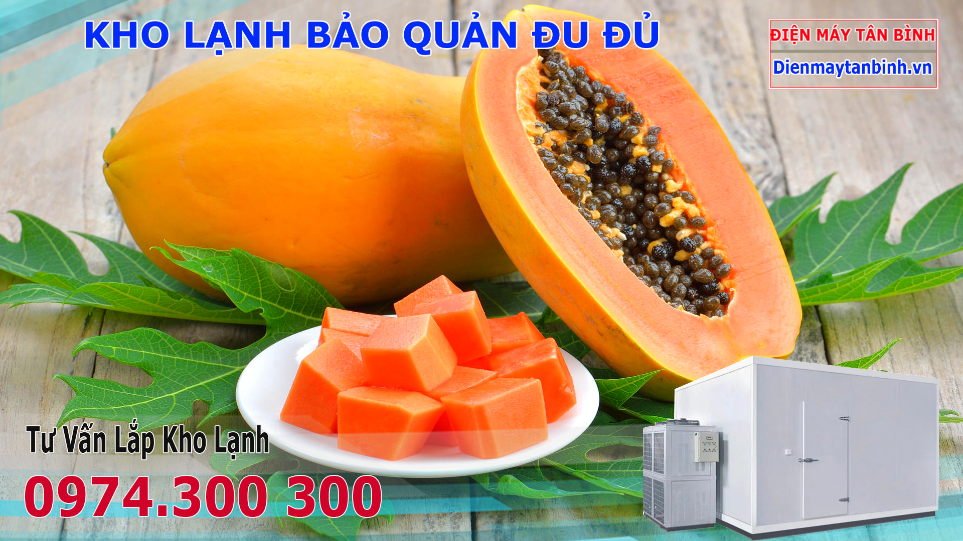 Cách bảo quản Đu Đủ Xuất Khẩu tươi ngon trong Kho Lạnh và Tủ mát Cách bảo quản Đu Đủ Xuất Khẩu tươi ngon trong Kho Lạnh và Tủ mát