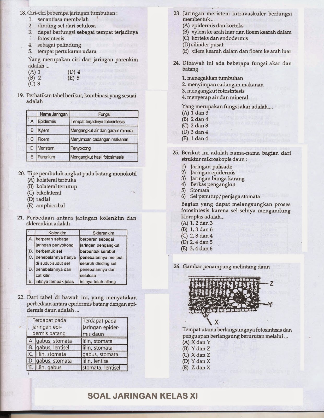 Silahkan dibaca untuk ujian mid semester 1 kelas XI ini sebagai Review materi belajarmu Jika bisa lumayan dah kemampuan bacamu hehehe