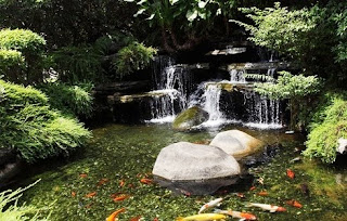 Minimalist Garden With Natural Pond in Behind Houses