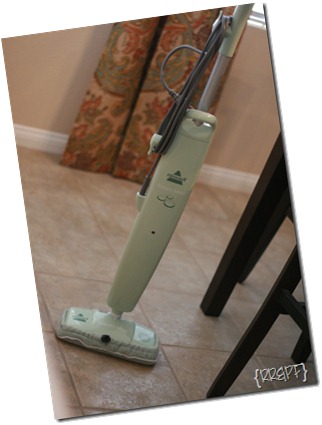 Bissell Steam Mop