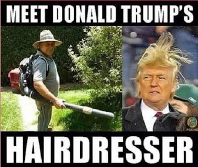 Meet the hairdresser..