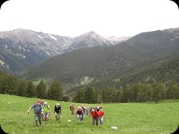 IMG_5447