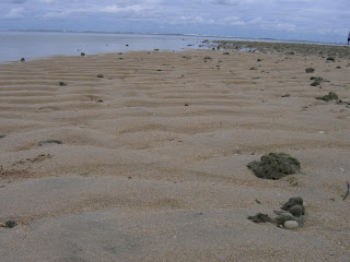 low tide