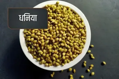 coriander- aromatic spice name in Hindi