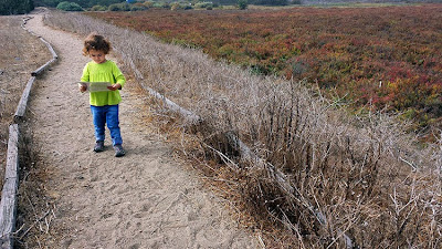 Family Volunteering at Ballona Wetlands