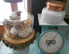 Using a Thrift Store Find as a Cloche | Denise on a Whim