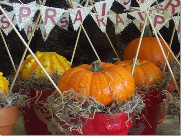 Pumpkin_Cute