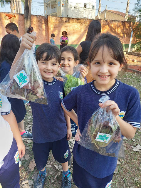 Horta na Escola