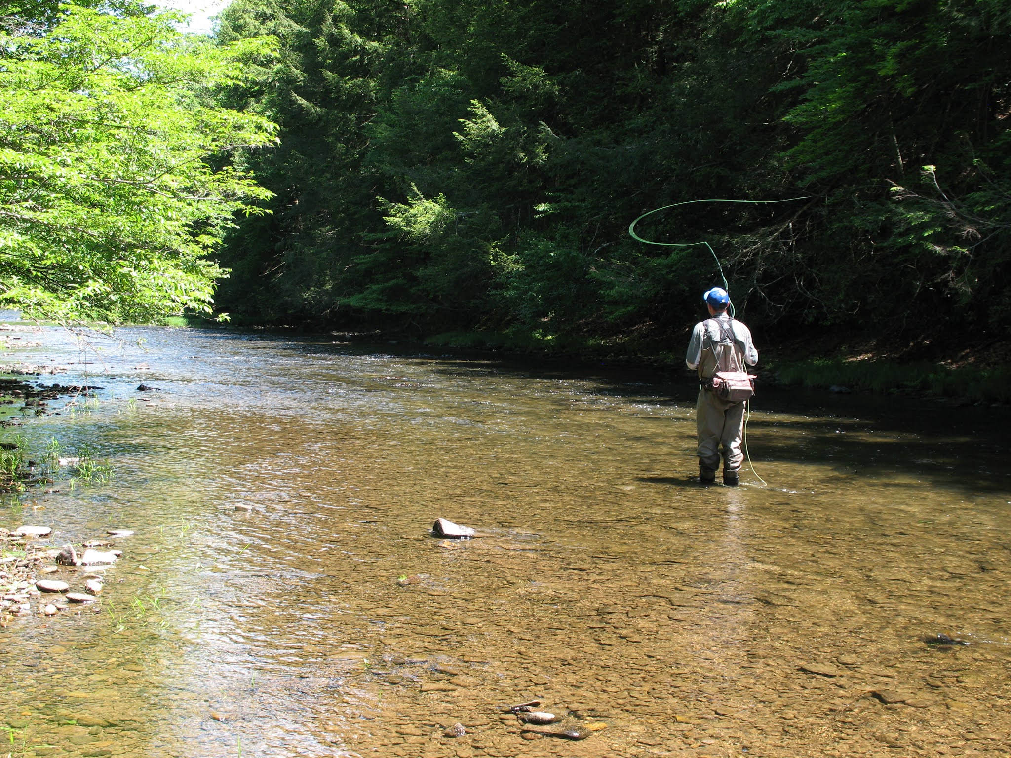 DRY FLY LEADERS FOR TROUT: THE LONG AND SHORT OF ITAND WHAT'S