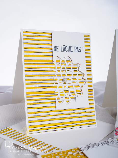 ensemble de cartes réalisées avec les Framelits Fleurs de mai