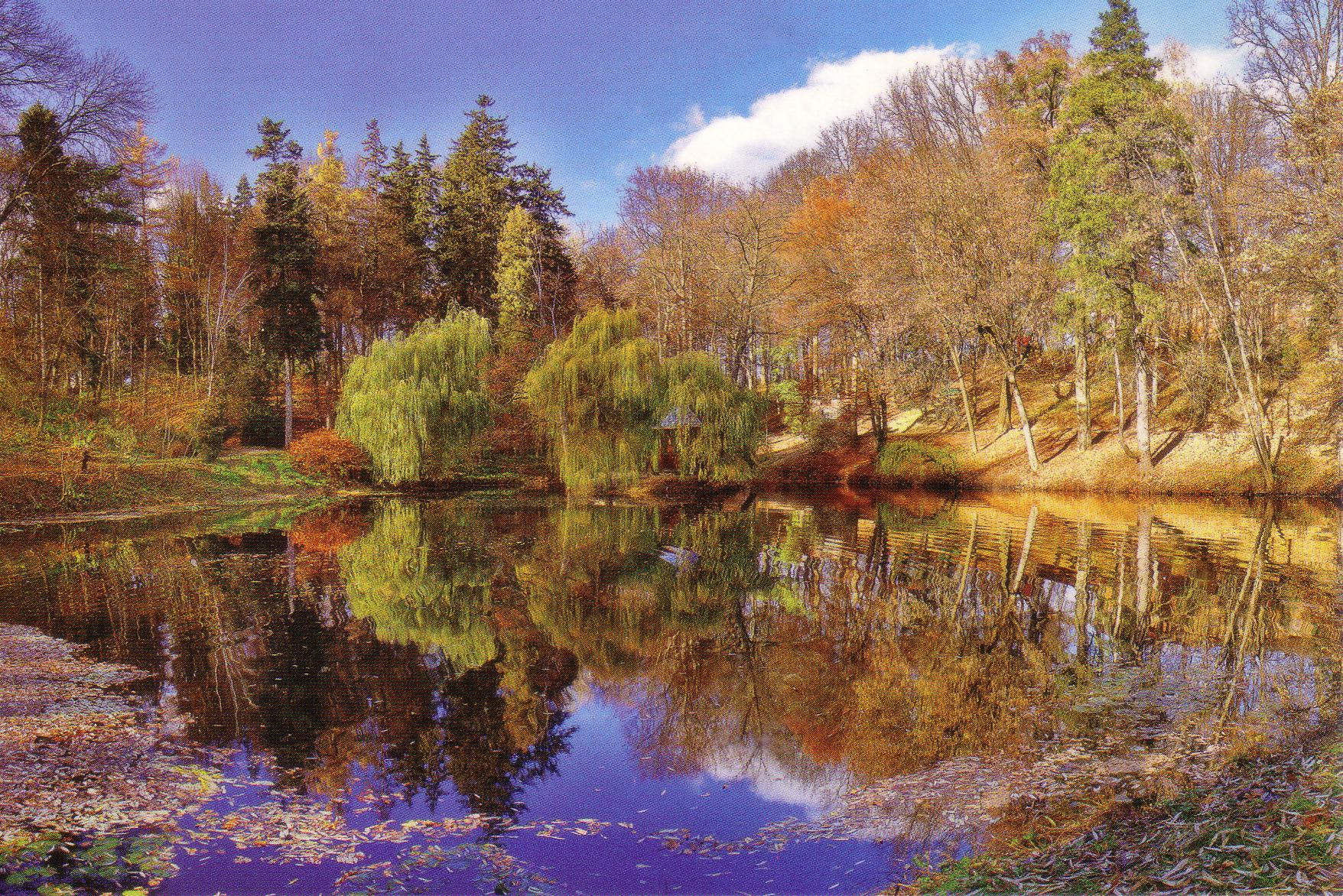 Old Postcard From Ukraine Limited Edition Stamps Collection