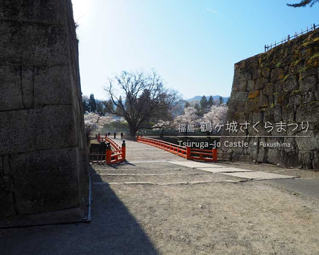 鶴ヶ城の桜がすごい！(3) 二の丸エリア