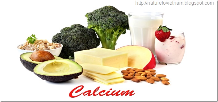 Calcium-Rich-Foods-For-Bones
