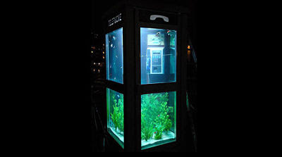 Aquarium Kotak Telepon