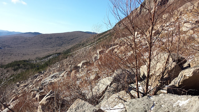 Cannon Cliffs loop bushwhack, Cannon Mountain, Franconia Notch State Park