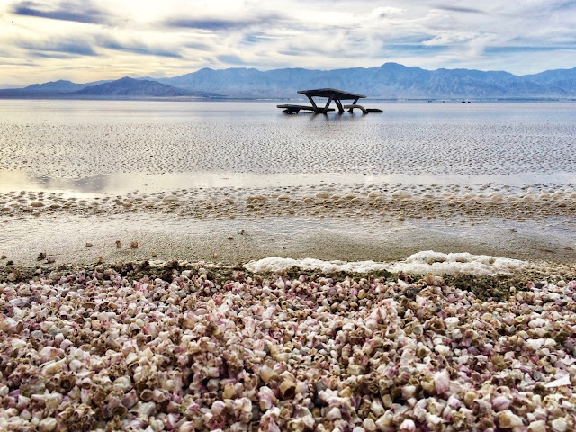 The Salton Sea: A Ghostly Lake in the Desert