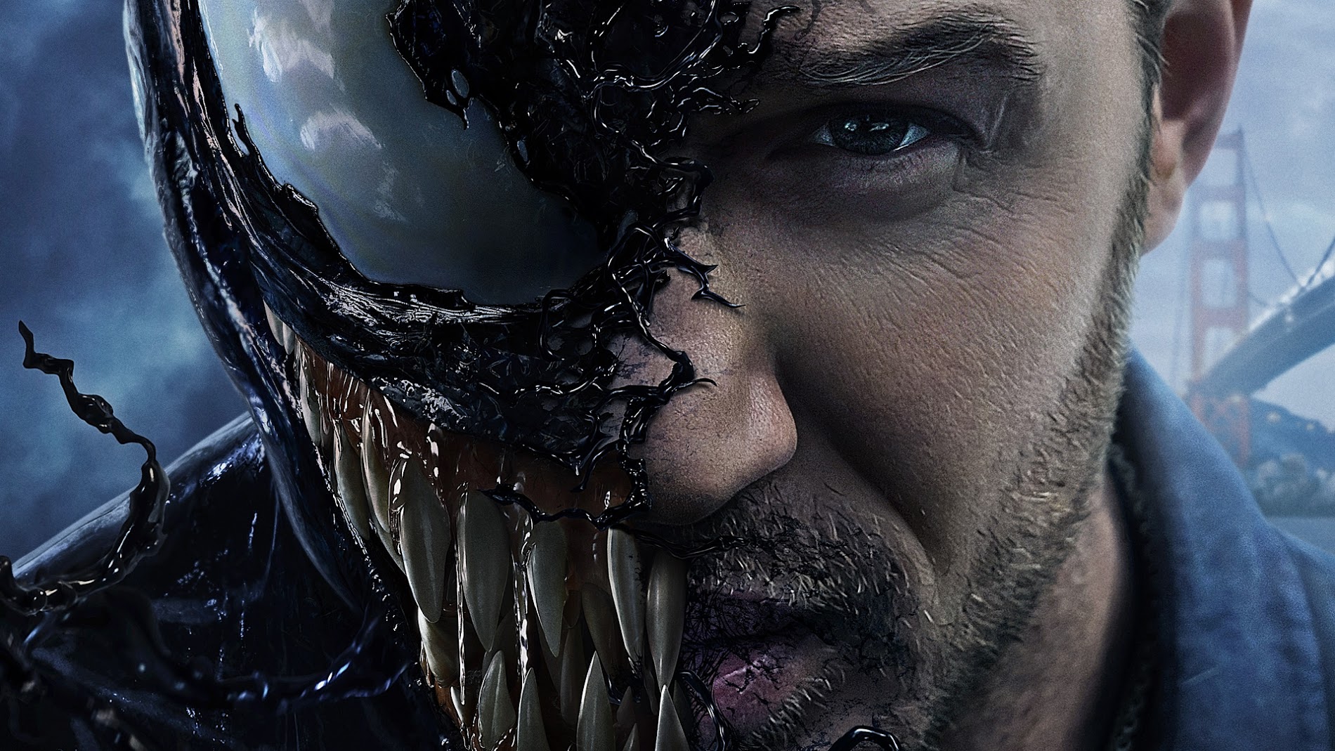 Venom Movie 2018 HD Wallpaper  Full HD Wallpapers