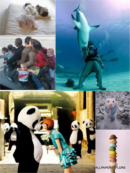 100 World Best Funny Photos Collection { SET-16 }