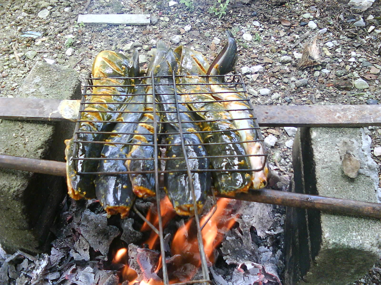 Resepi Kehidupanku: Ikan Keli masak Lemak Cekor