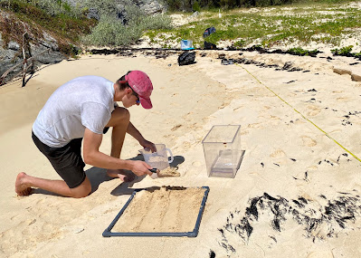 BIOS intern William Welch collecting microplastics from a local Bermudian beach.