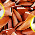 Health Benefits and Side Effects of Mahogany Seeds