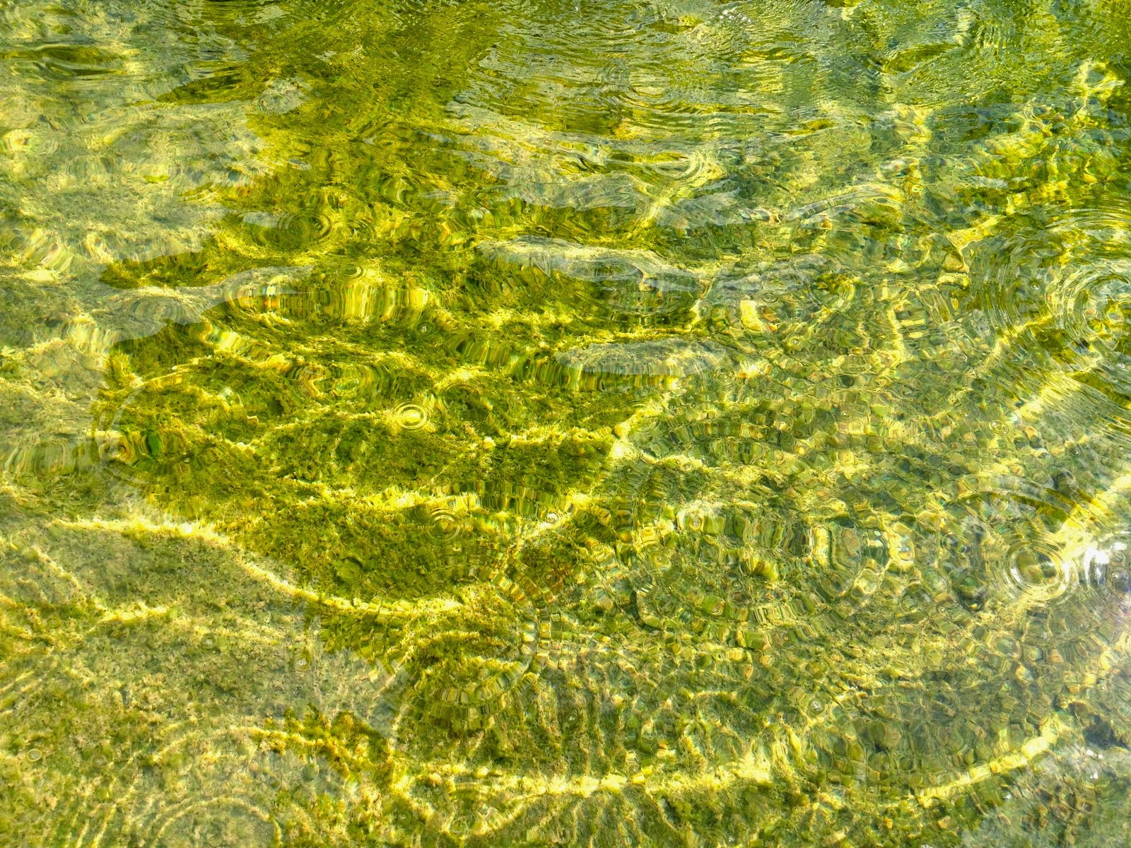 Ripples