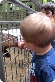 Central Park Zoo