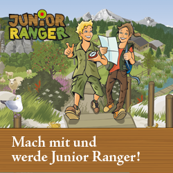 Junior Ranger Web