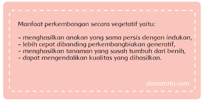 Manfaat perkembangan secara vegetatif yaitu menghasilkan tanaman anakan yang sama persis dengan induknya, lebih cepat dibanding perkembangbiakan generatif, menghasilkan tanaman yang susah tumbuh dari benih, dapat mengendalikan kualitas yang dihasilkan.