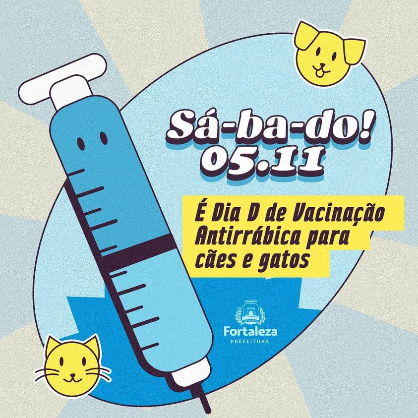 Recife e Olinda promovem vacinação antirrábica para cães e gatos neste  sábado (11) - Folha Pet - Folha PE