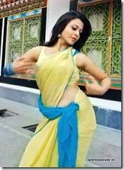 Bengali Actress Koyel Mullick Picture (25)