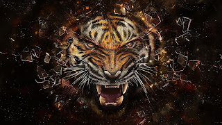 imagenes de los tigres futbol,imagenes de los tigres uanl,imagenes de tigres uanl 2016,imagenes de tigres uanl para descargar,imágenes de los tigres,imagenes del equipo tigres,imagenes de tigres uanl para fondo de pantalla,imagenes de tigres uanl para portada de facebook,imagenes del equipo delos tigres