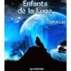 http://lesreinesdelanuit.blogspot.be/2014/09/enfants-de-la-lune-t1-crepuscule-de-sg.html