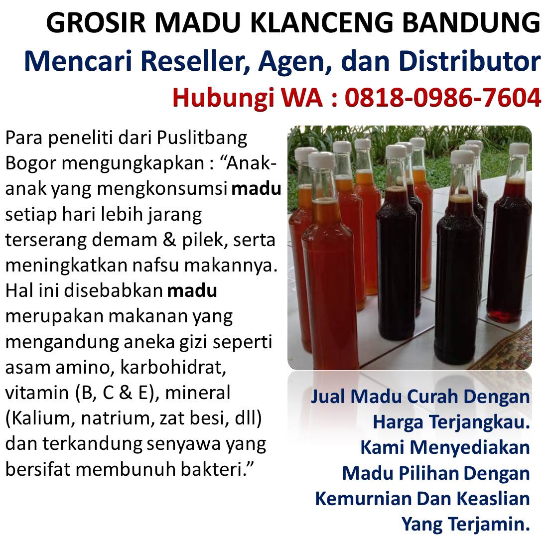 grosir madu klanceng palsu