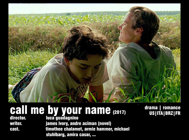 CALL ME BY YOUR NAME (2017) REVIEW