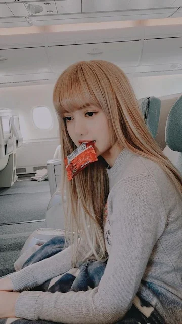 Lisa Ideal type: someone older but not too old that can cook and can take good care of her