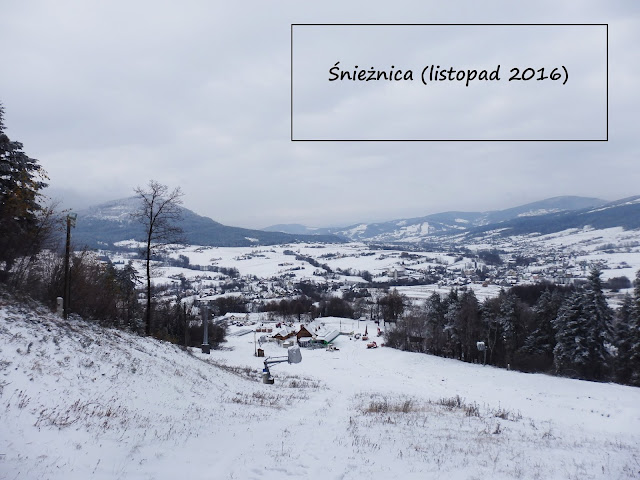 Śnieżnica (1007 m n.p.m.) w Beskidzie Wyspowym