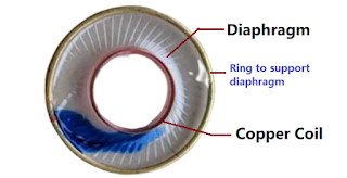 Diaphragm of earphone