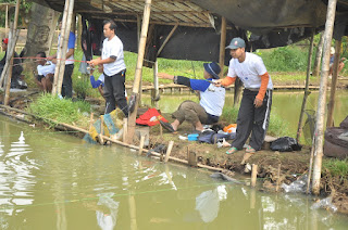 umpan ikan mas di air coklat