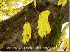 Giallo