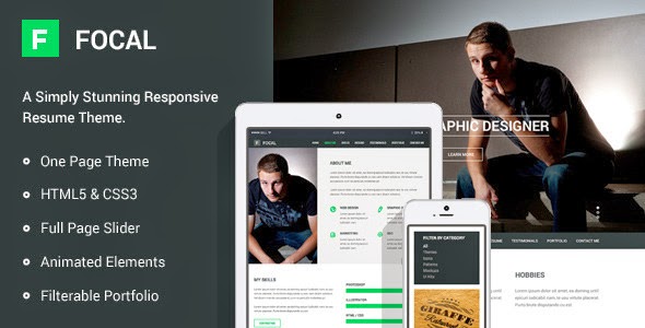 html resume theme