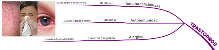 Séptima Rama: Trastornos