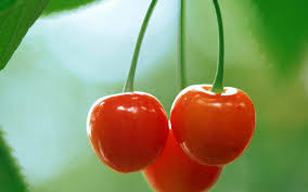 cách trị bệnh gout bằng cherry