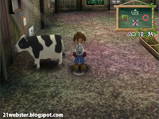 Screenshots Harvest Moon A Wonderful life