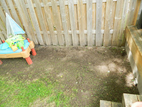 Upper Beaches backyard cleanup after Paul Jung Gardening Services Toronto